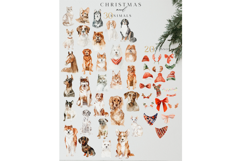 christmas-mood-watercolor-bundle-illustrations-dog-breeds