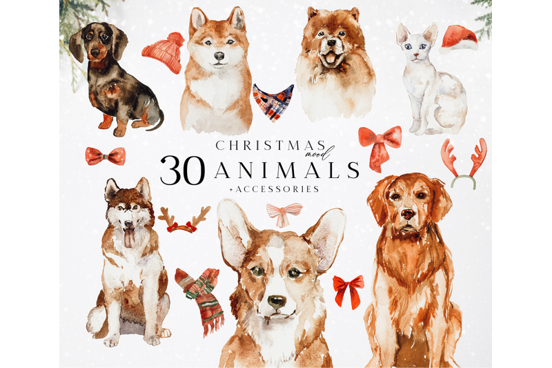 christmas-mood-watercolor-bundle-illustrations-dog-breeds