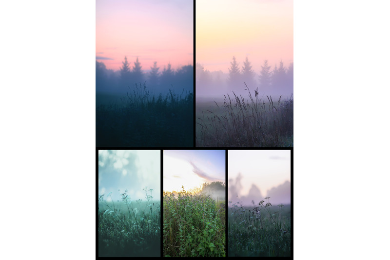 misty-nature-photo-pack-of-20