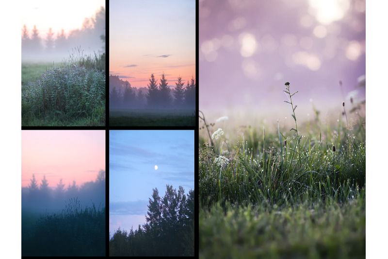 misty-nature-photo-pack-of-20