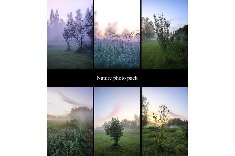 misty-nature-photo-pack-of-20