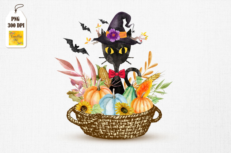 halloween-black-cat-witch-hat-pumpkin