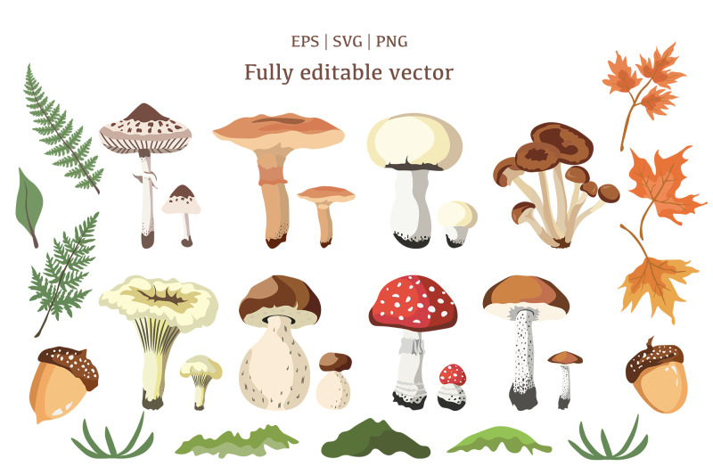 autumn-mushrooms-clipart