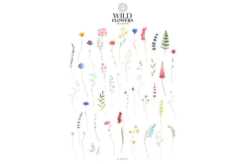 wildflowers-watercolor-floral-clipart