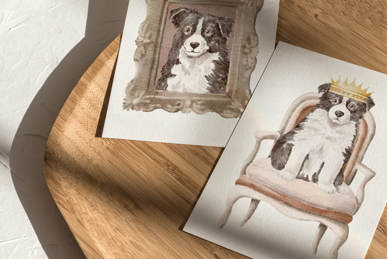 border-collie-dogs-clipart