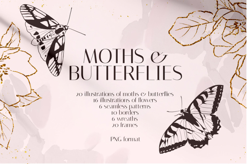 moths-amp-butterflies-illustration-set