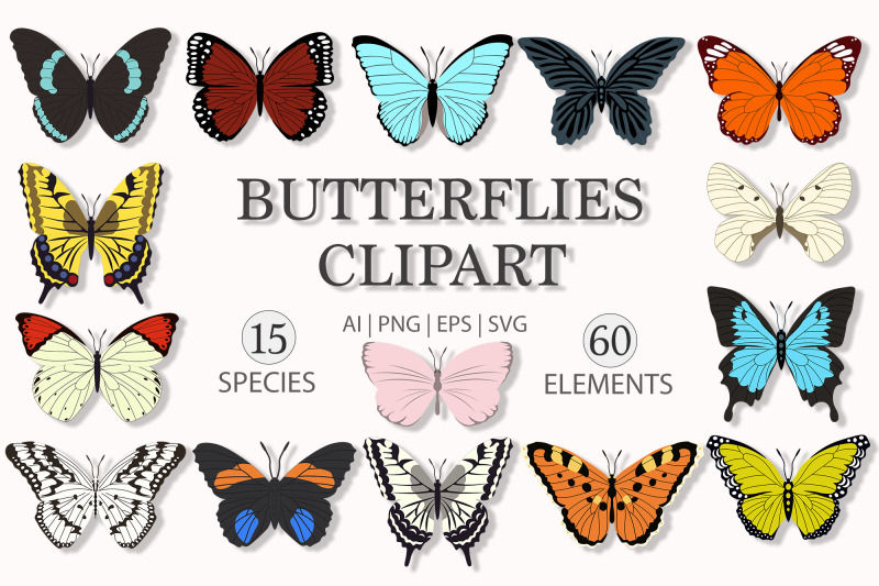 butterflies-clipart