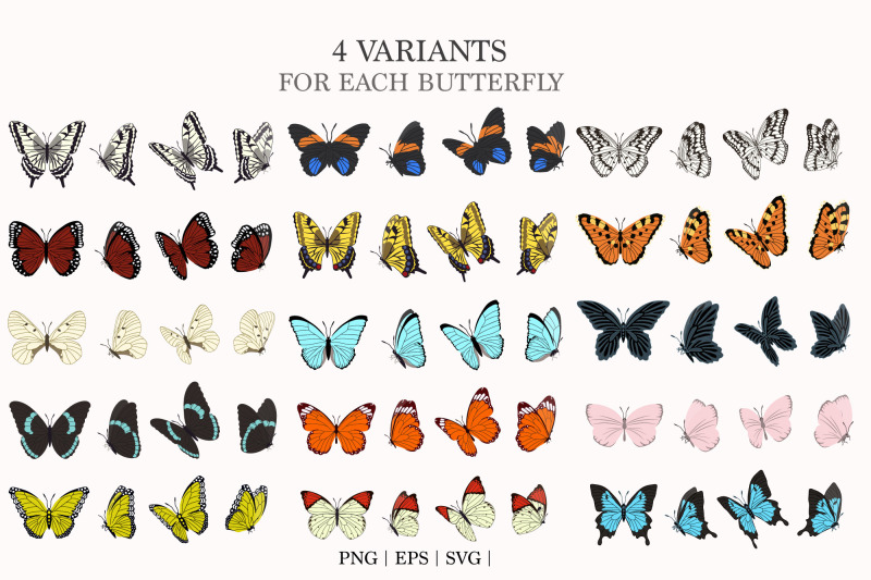 butterflies-clipart