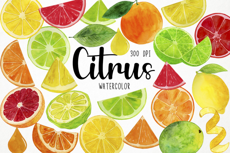 watercolor-citrus-clipart-fruit-slices-clipart-summer-clipart-juice