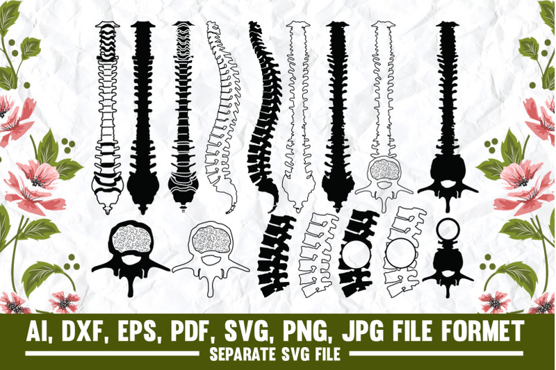 anatomy-spine-anatomy-spine-skeleton-bones-medical-doctor-medic