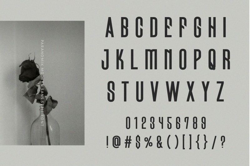paranomik-modern-sans-serif