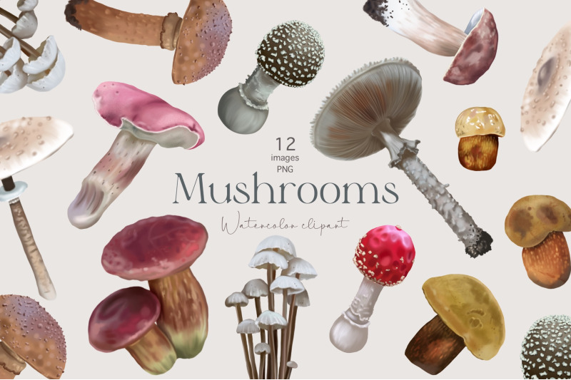 watercolor-mushrooms-clipart-fall-clipart-fall-forest-fungus