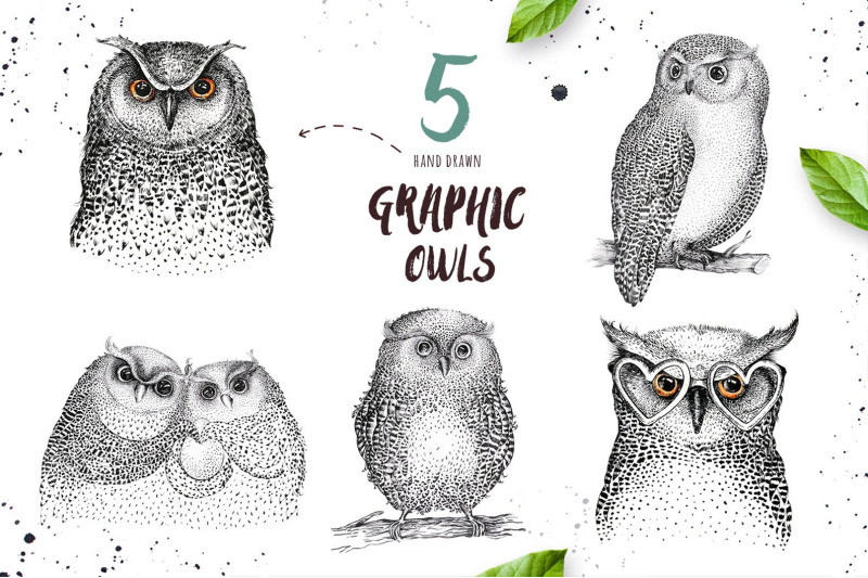 hand-drawn-graphic-owls-feather-and-feathers-pattern