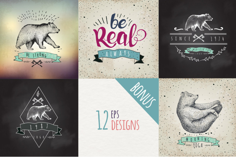 set-of-hand-drawn-graphic-bears-hand-painted-clipart-posters-logo