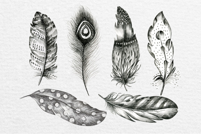 hand-drawn-graphic-feather-and-feathers-pattern-scrapbooking-paper