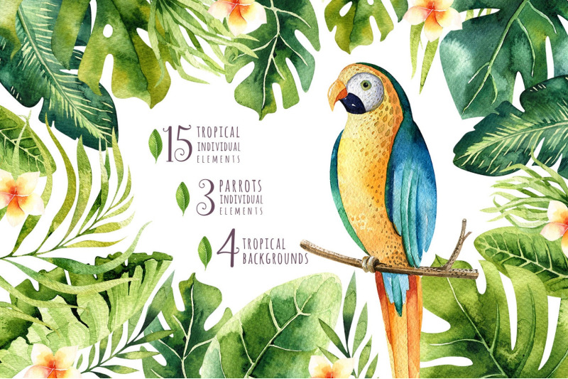 watercolor-hand-painted-tropical-clipart-digital-parrot-illustration