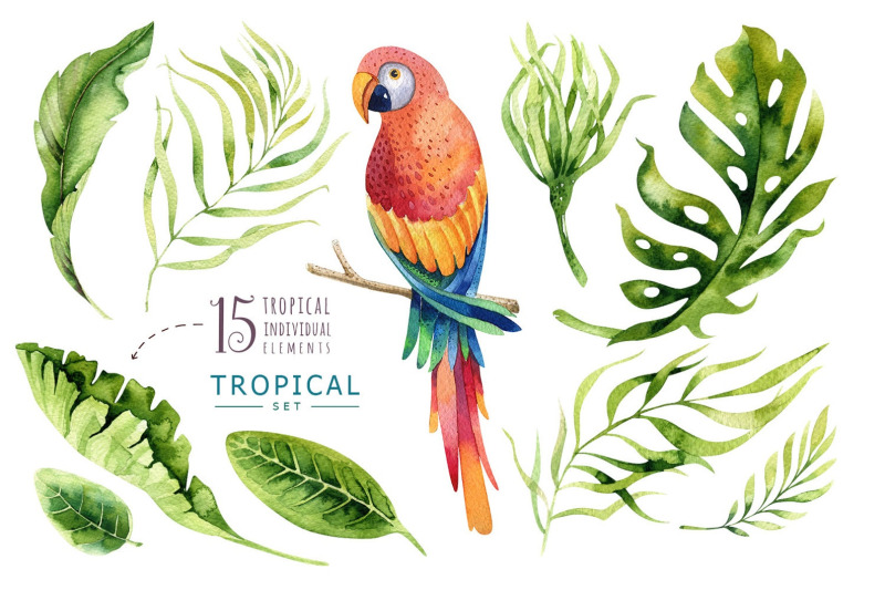 watercolor-hand-painted-tropical-clipart-digital-parrot-illustration