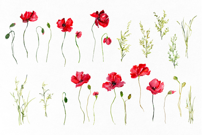 watercolor-red-poppies-flowers-png