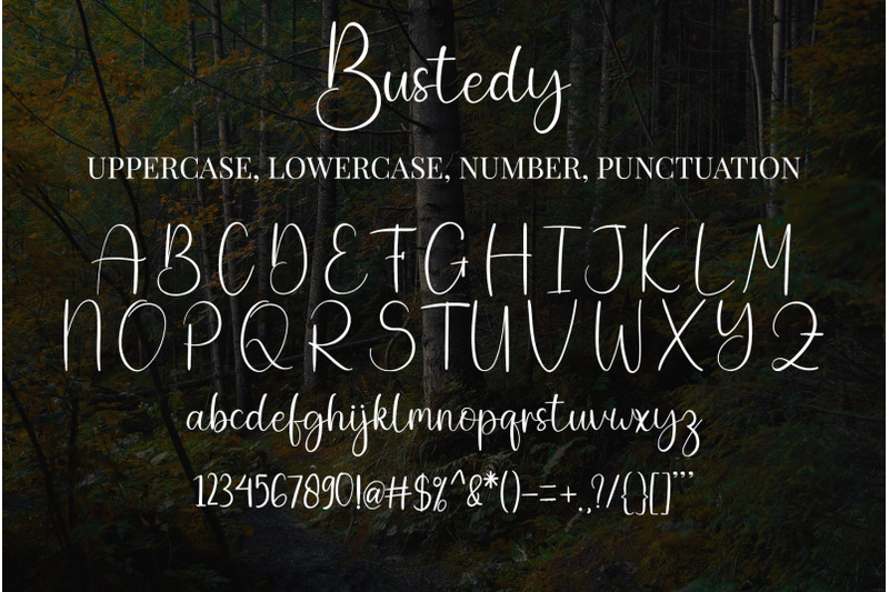 bustedy-font