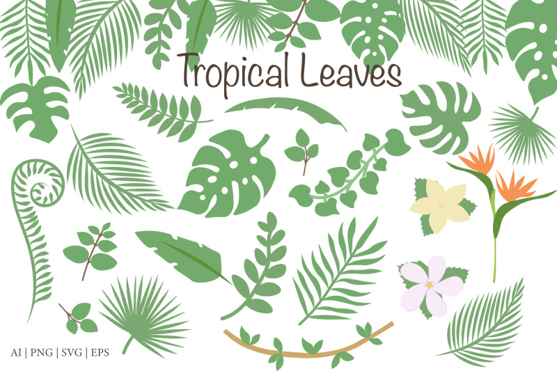 vector-tropical-leaves-set