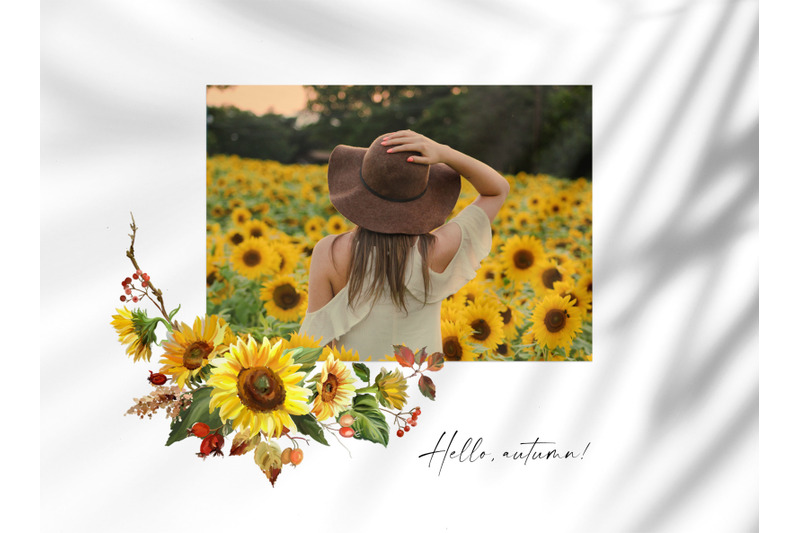 sunflowers-floral-bouquets-clipart