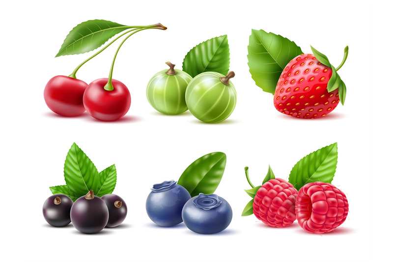 realistic-berries-different-seasonal-berries-and-fruits-with-leaves