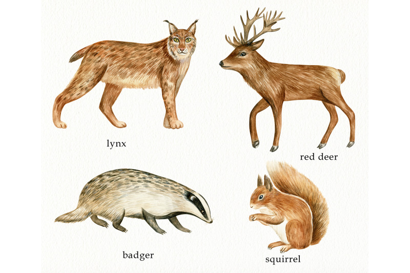 watercolor-forest-animals-clipart-hand-painted-woodland-set