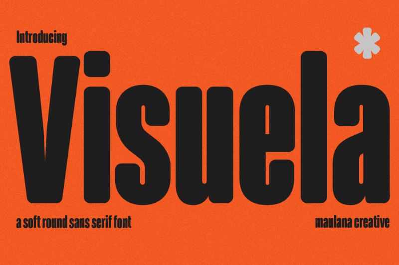 visuela-sans-display-font