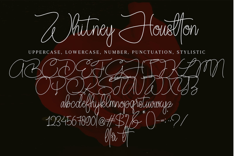 whitney-houstton