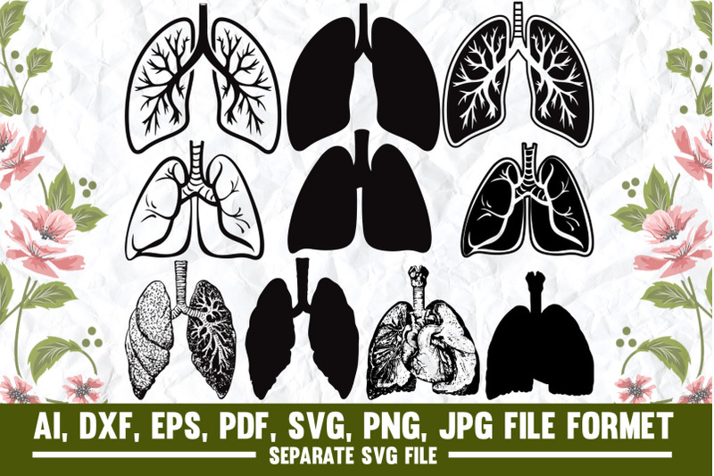 lungs-human-medical-image-nurse-life-anatomical-heart-medical-doc