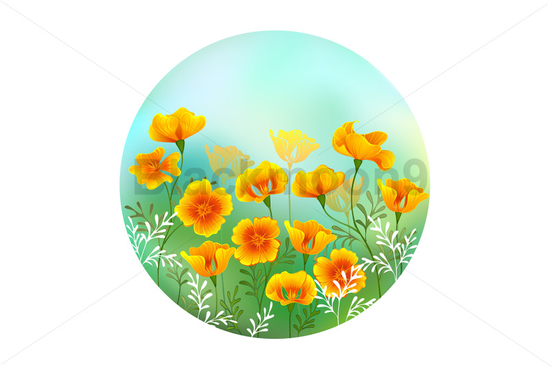 round-picture-with-california-poppy