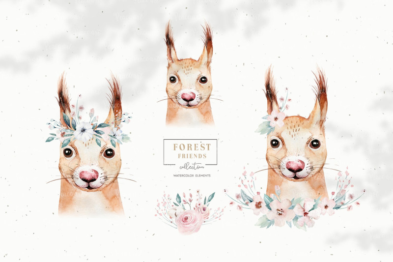 watercolor-woodland-squirrel-animals-portrait-clipart-forest-character
