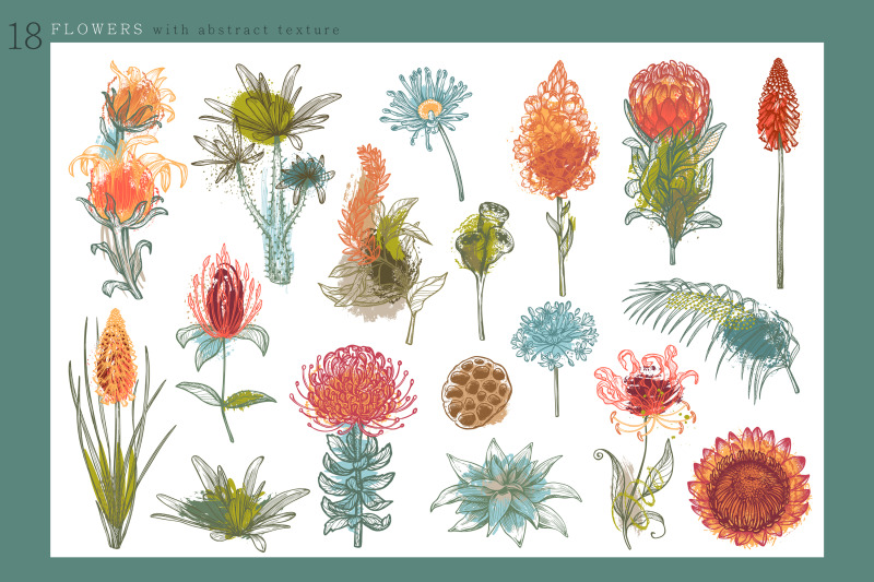 african-flowers-vector-collection