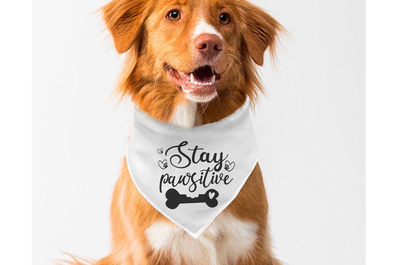 dog-bandana-svg-bundle-6-designs-funny-dog-quotes-svg-cut-files