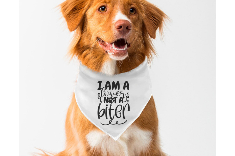 dog-bandana-svg-bundle-6-designs-funny-dog-quotes-svg-cut-files