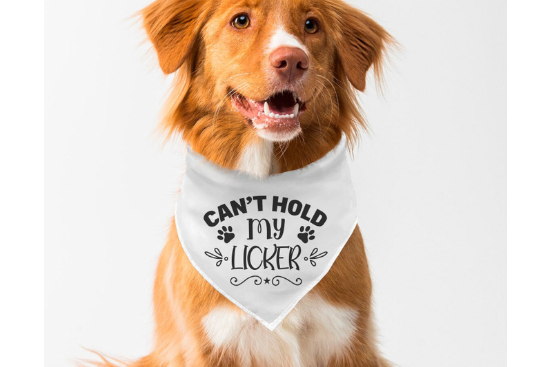 dog-bandana-svg-bundle-6-designs-funny-dog-quotes-svg-cut-files