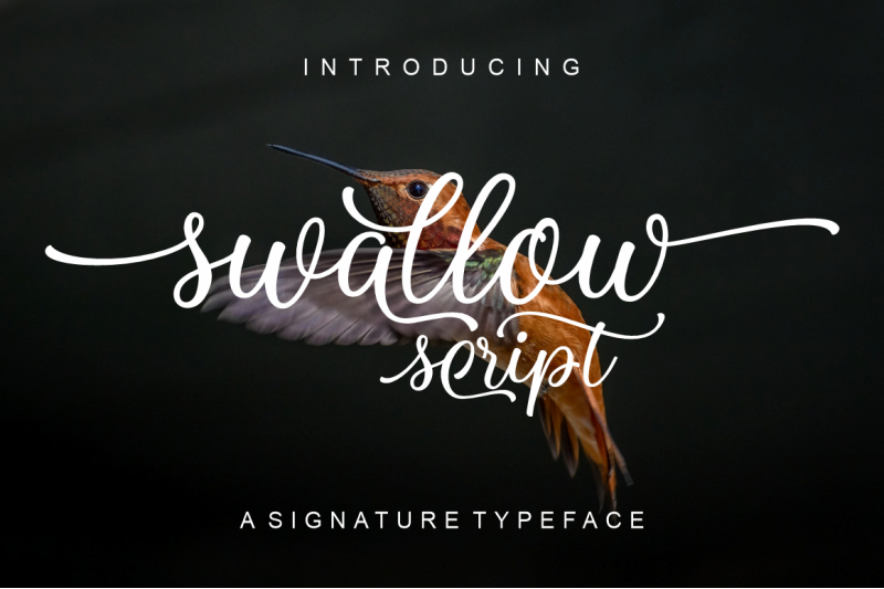 swallow-script