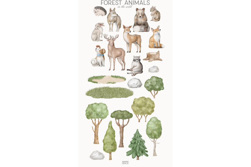 forest-animals