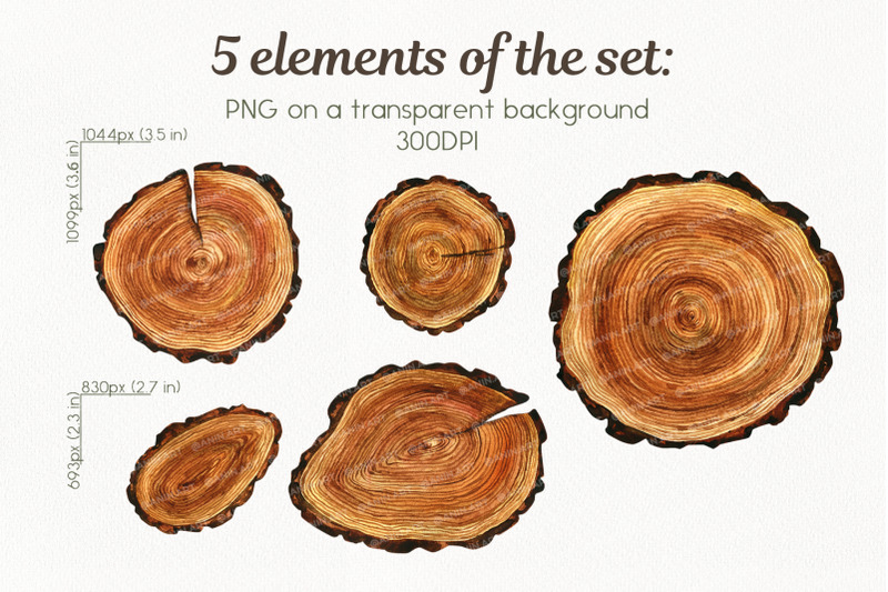 watercolor-wooden-cut-down-clipart-of-saw-cut-tree-cuts