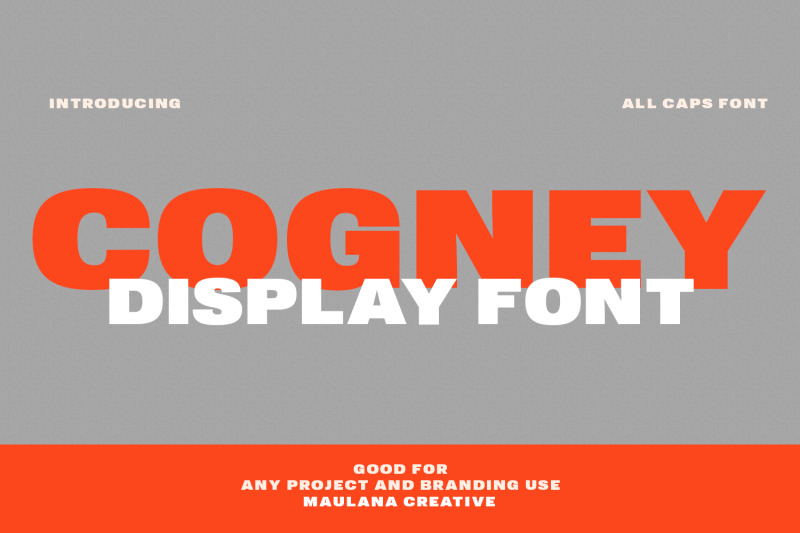 cogney-sans-serif-display-font