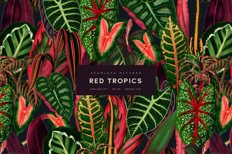 red-tropics