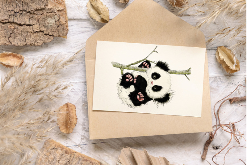 panda-watercolor-animal-clipart