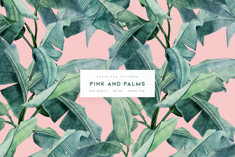 pink-and-palms