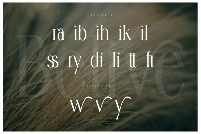 belive-modern-ligature-serif-typeface