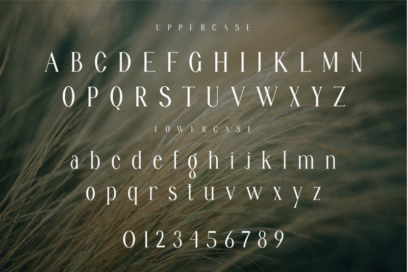 belive-modern-ligature-serif-typeface