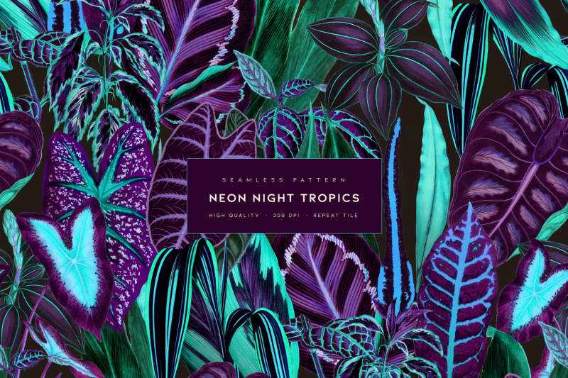 neon-night-tropics