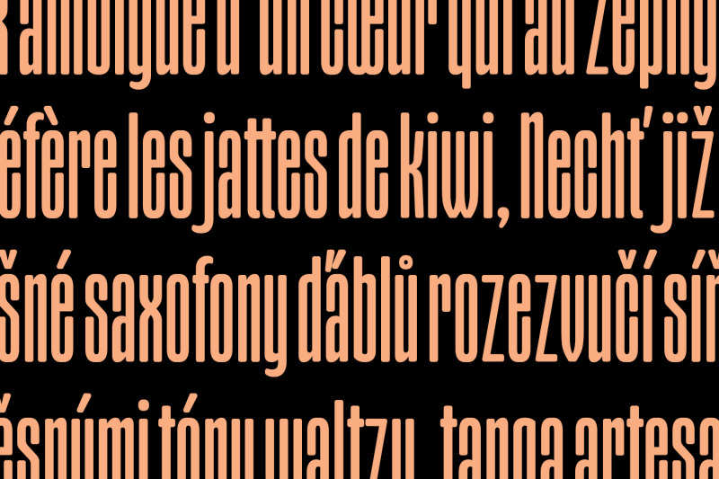 kareen-sans-serif-display-font