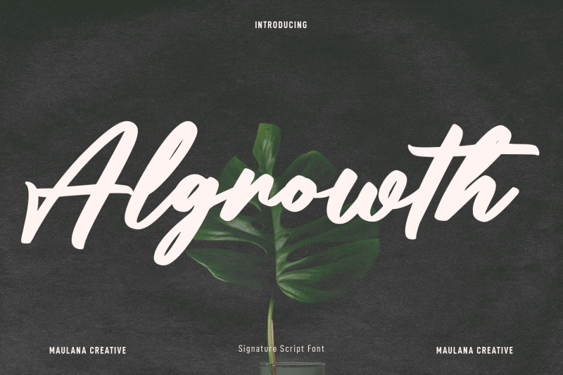 algrowth-script-font