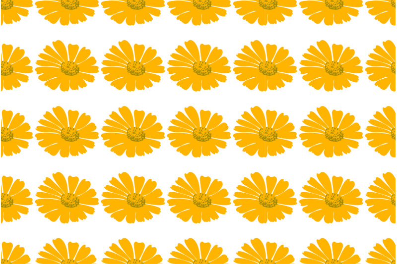 botanical-flowers-dandelions-seamless-pattern-vector-illustration-dai