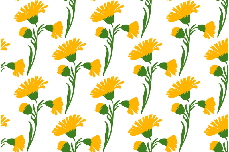 botanical-plant-flowers-dandelions-seamless-pattern-vector-illustratio